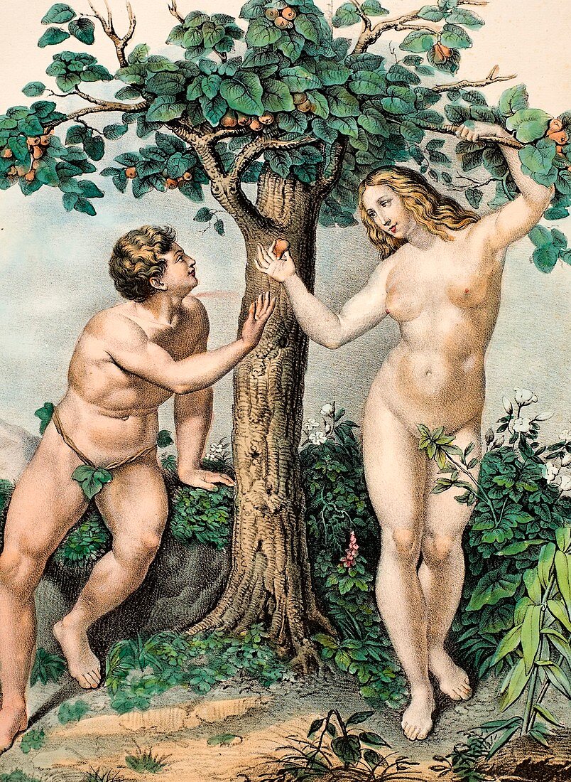 1863 Adam and Eve from zoology textbook
