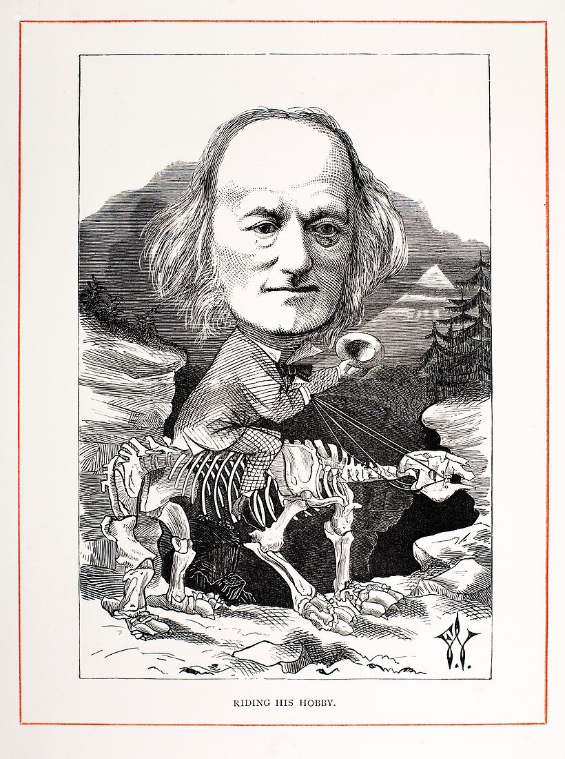 1871 Richard Owen on megatherium fossil