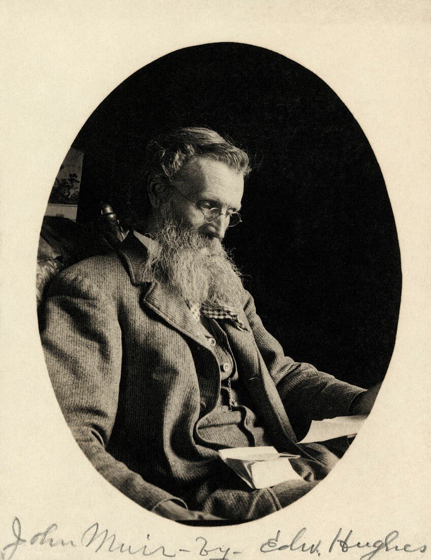 John Muir,US naturalist