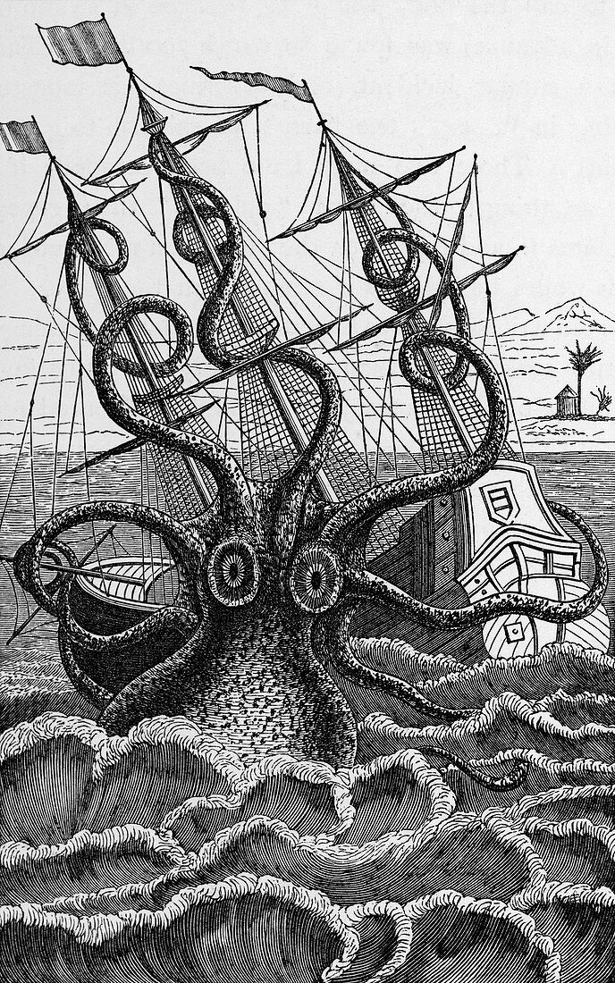 Octopus attacking a ship