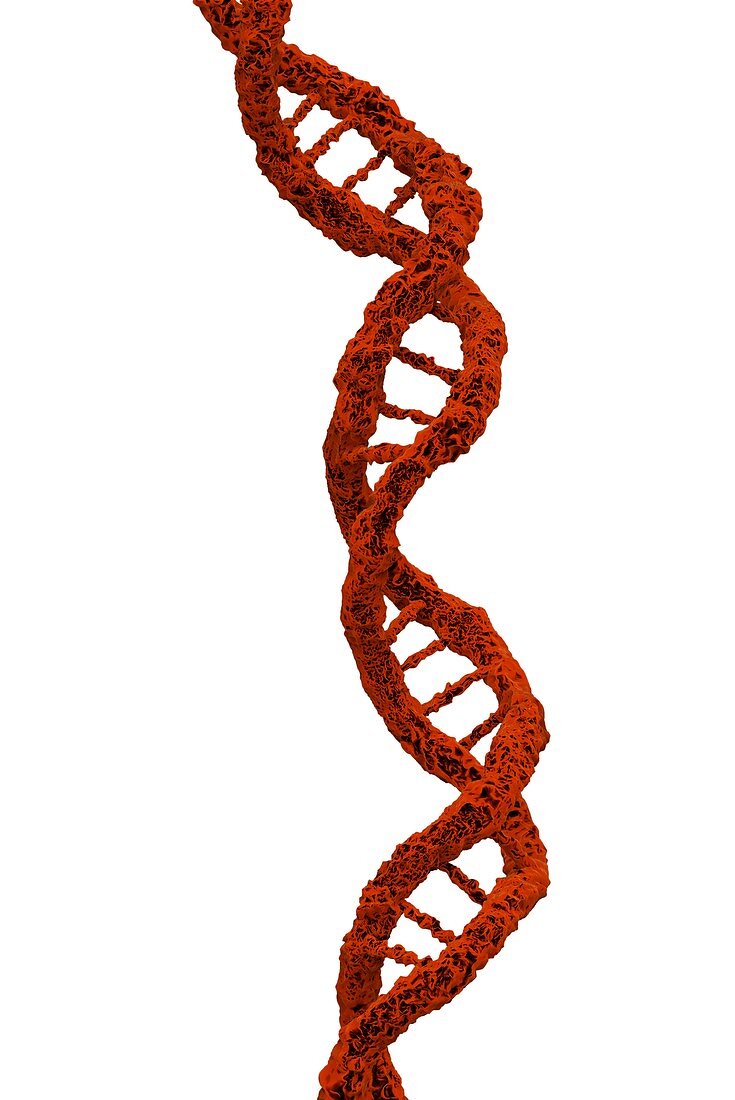 DNA molecule,artwork