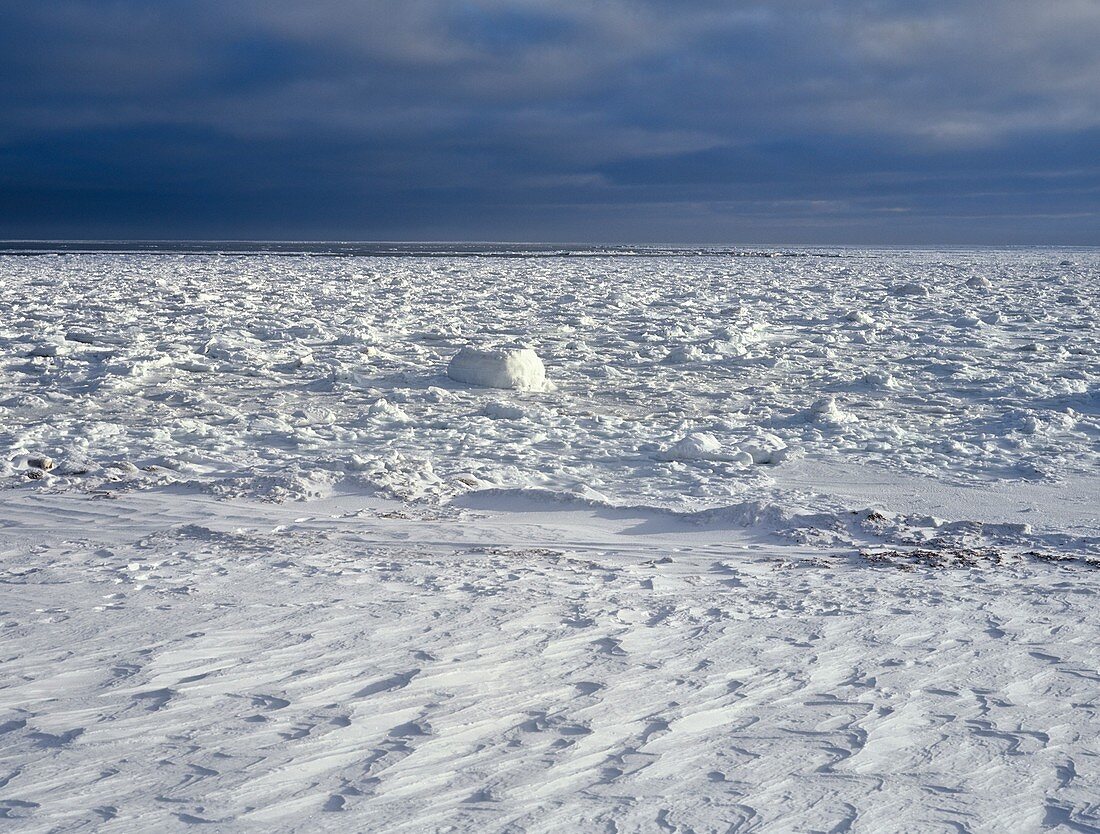 Frozen landscape,Canada