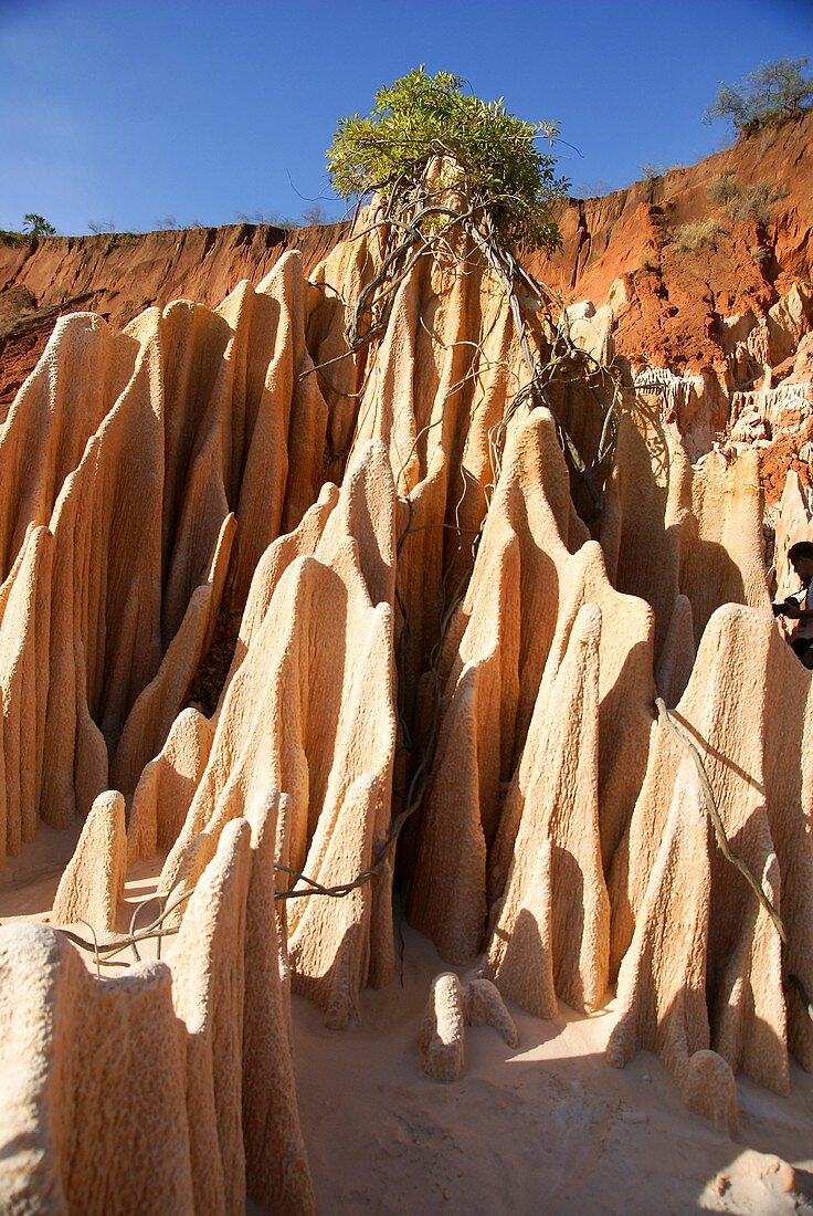 Sandstone erosion due to deforestation