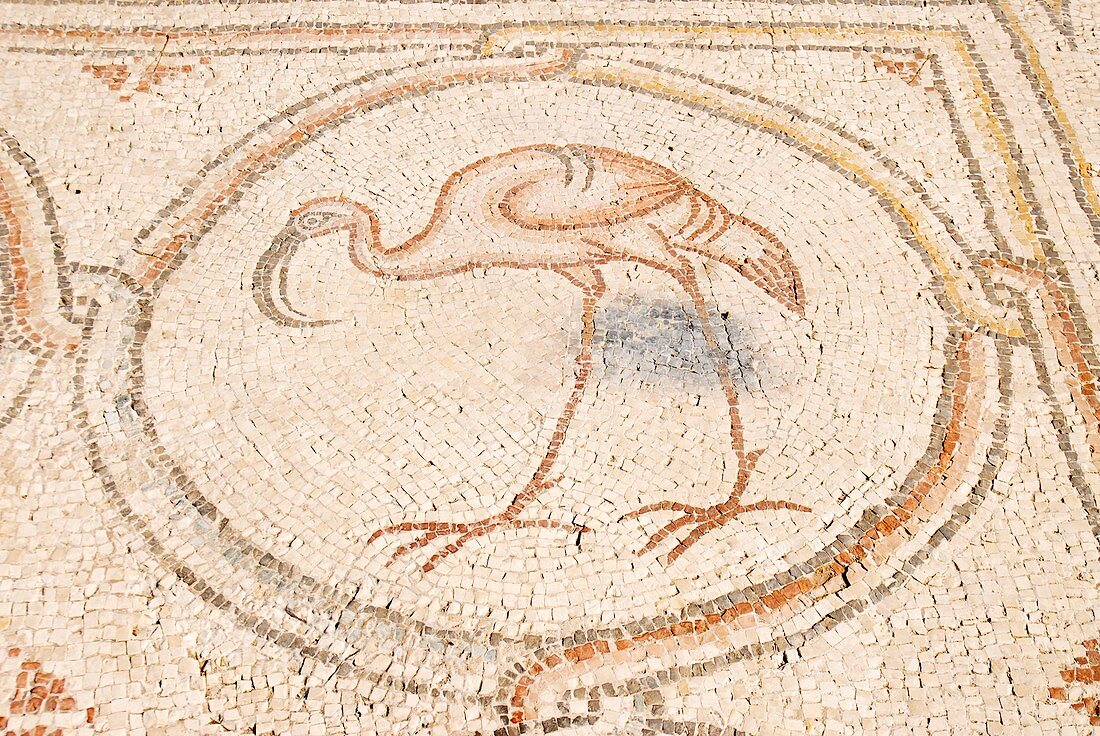 'Bird Mosai Flamingo detail