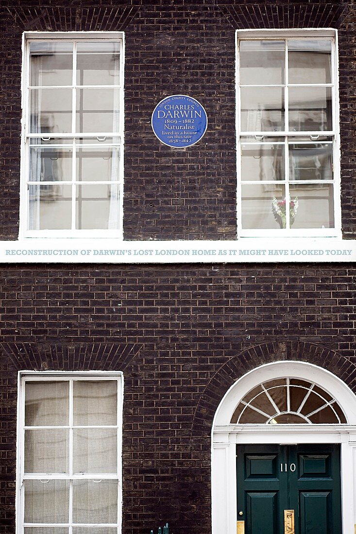 1839 Darwin's London Home reconstruction