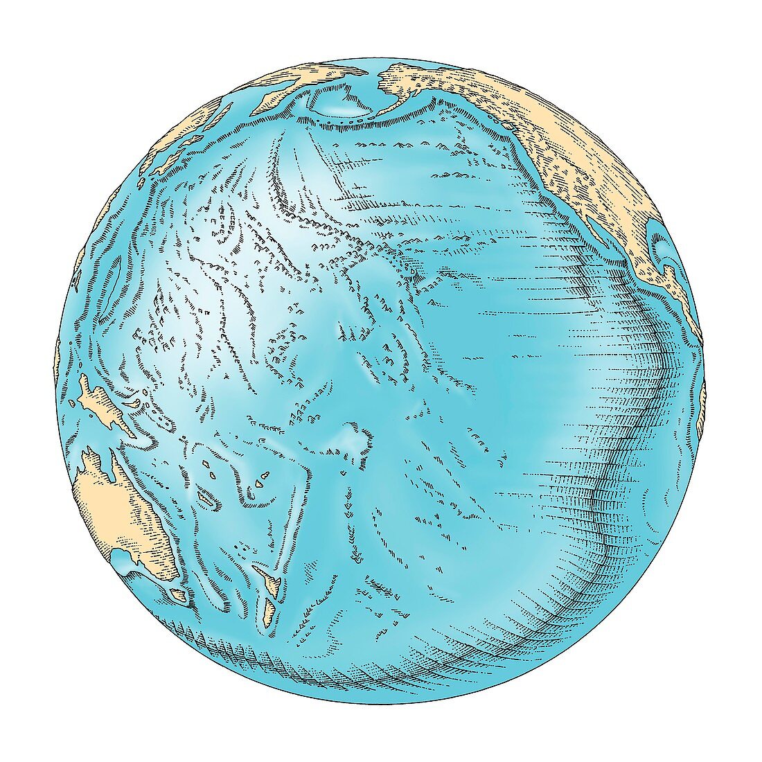 Pacific Ocean sea floor topography