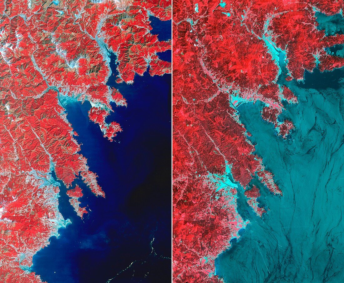 Effects of 2011 tsunami,Japan