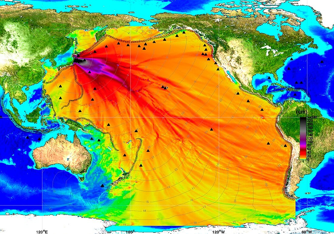 2011 tsunami height and travel times
