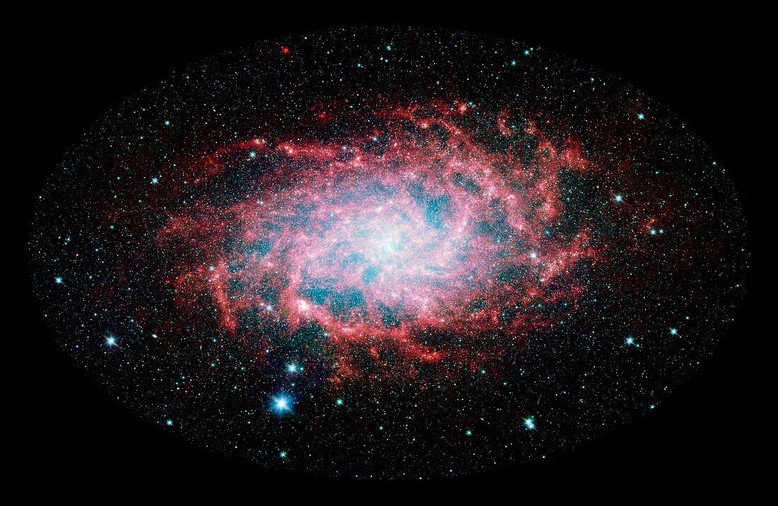 Triangulum galaxy (M33),infrared image