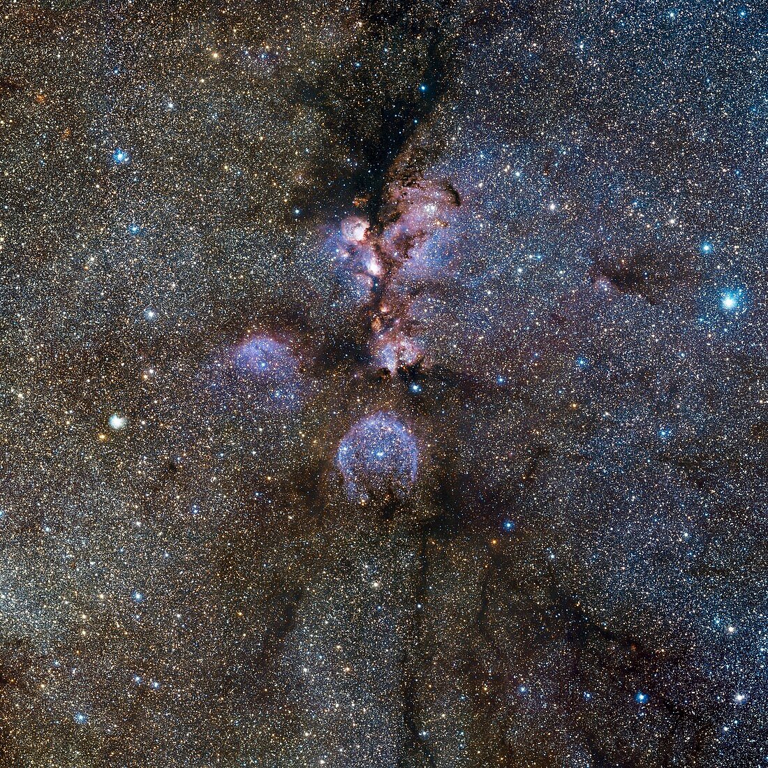 Cat's Paw nebula (NGC 6334)