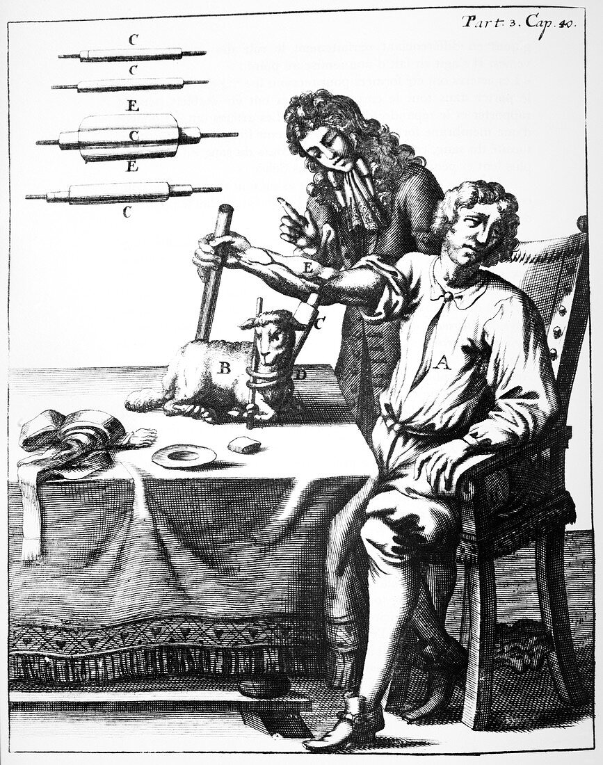 Lower's blood transfusion,1667