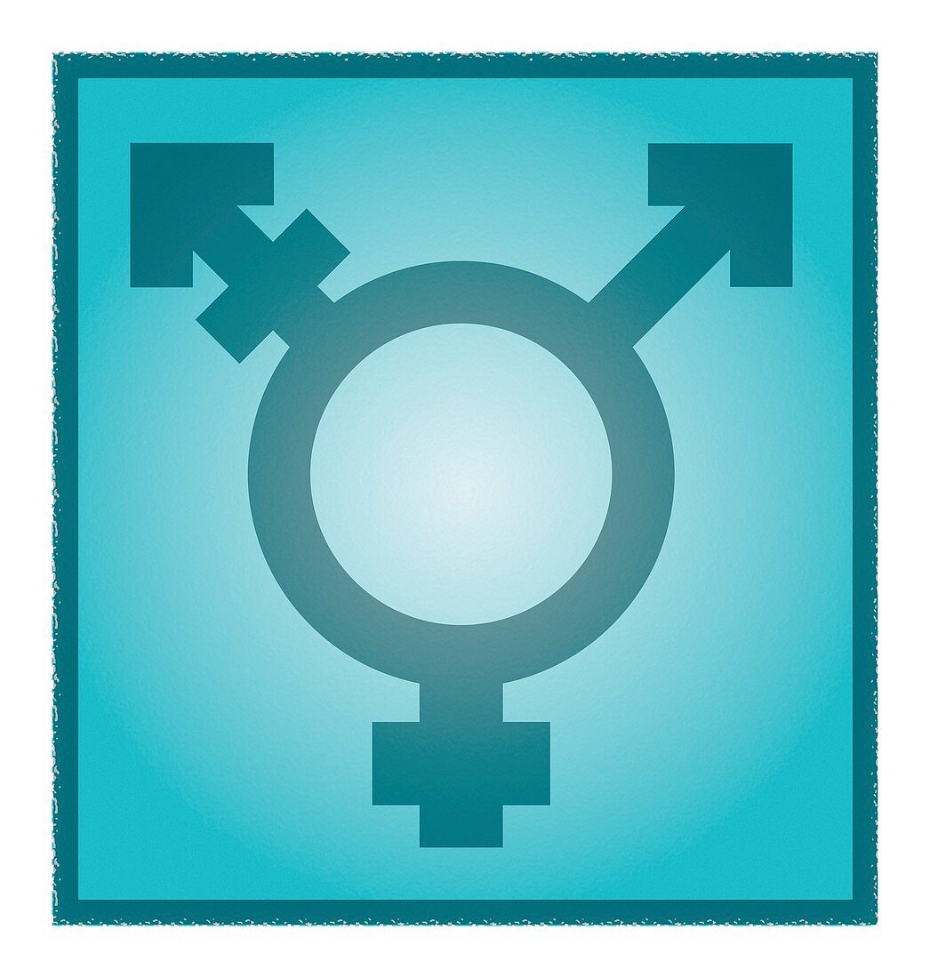 Transgender symbol,artwork