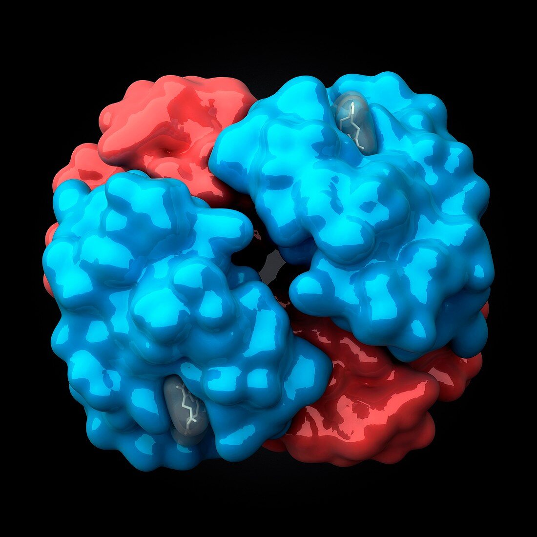 Haemoglobin molecule,artwork