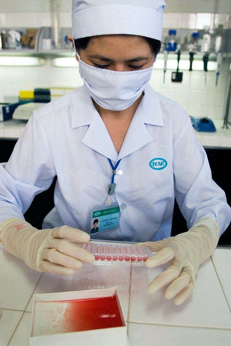 Bird flu vaccine research,Vietnam