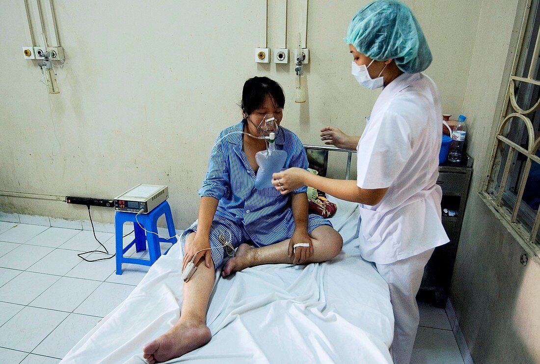 Bird flu infection,Vietnam