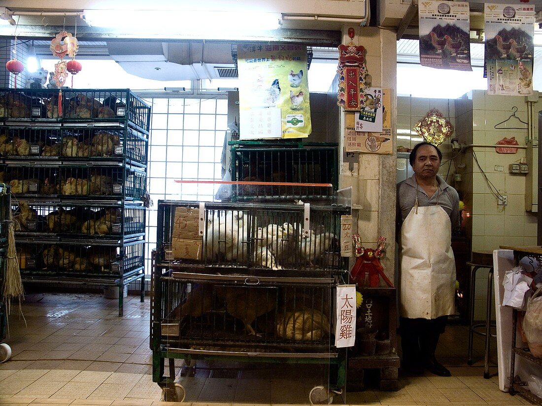 Poultry market,Hong Kong