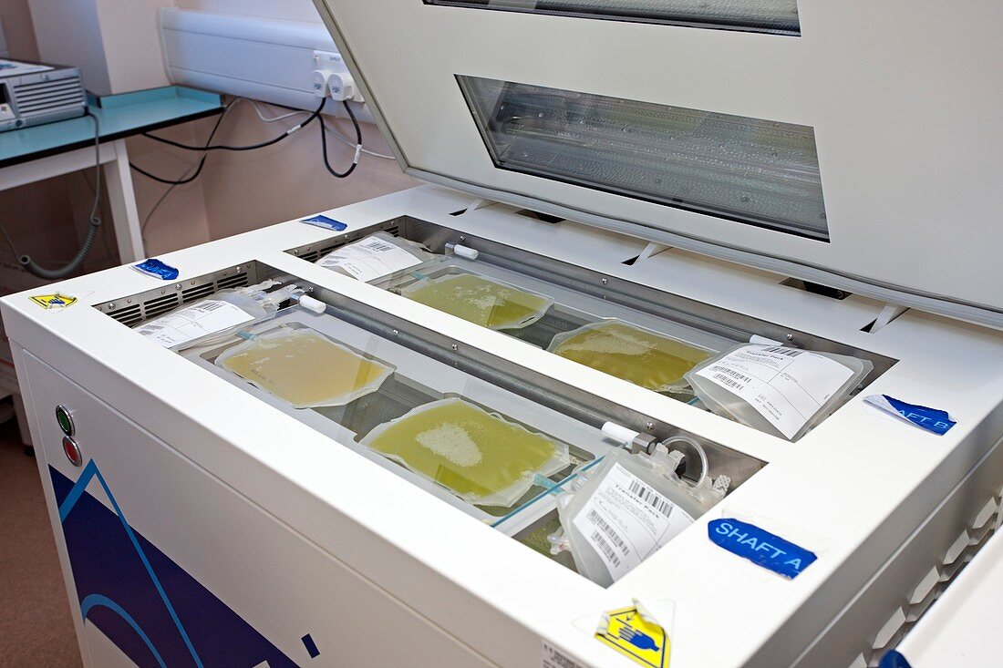 Blood plasma in UV irradiation machine