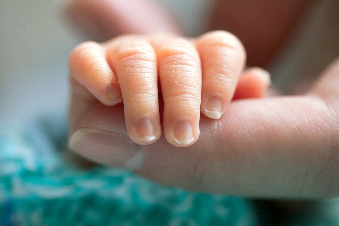 Newborn baby's grip reflex