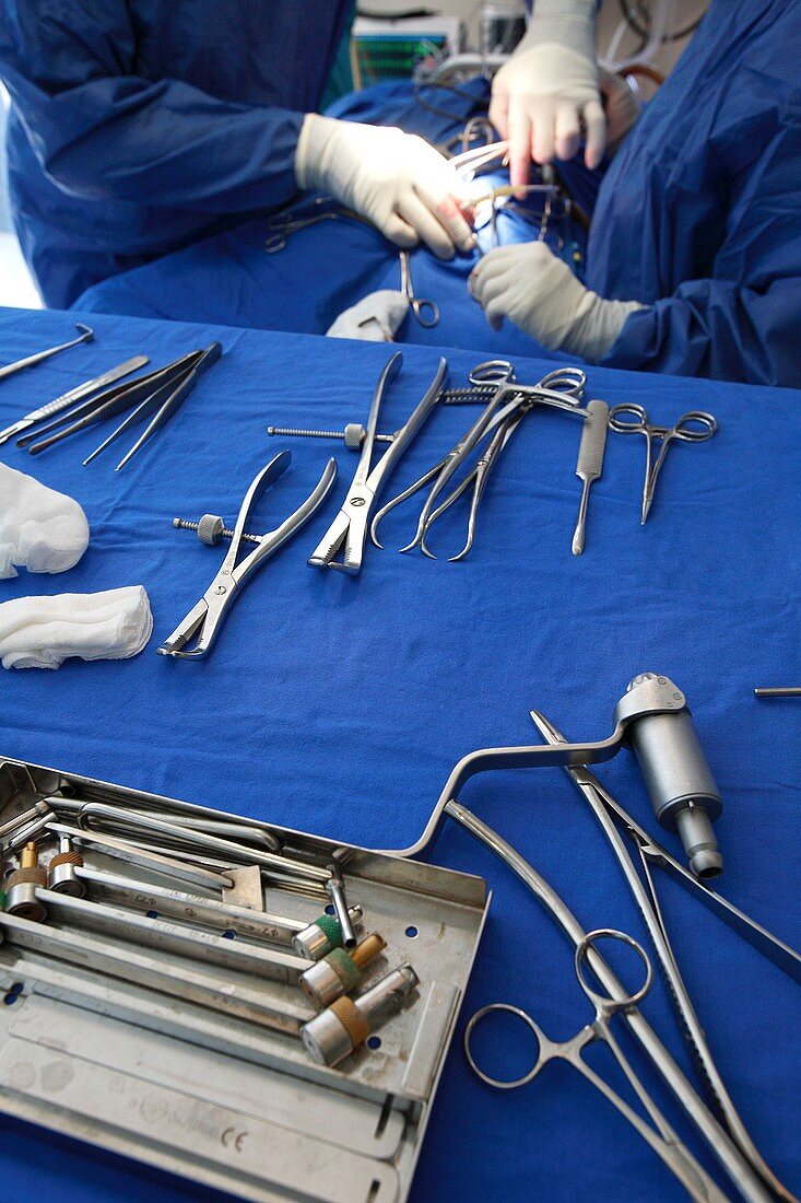 Veterinary surgery