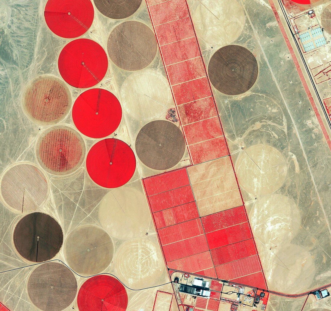 Tadco farm,Saudi Arabia,satellite image