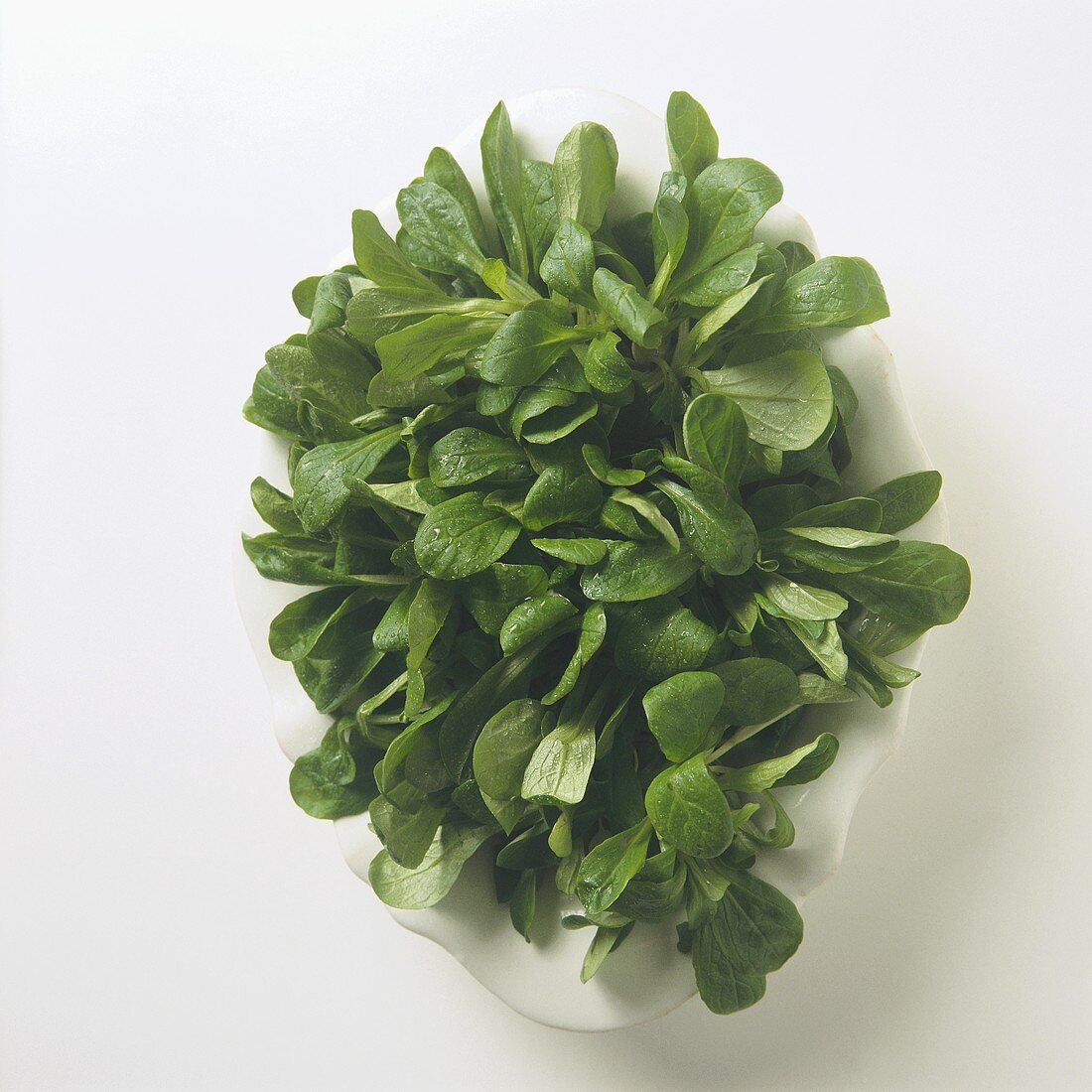 Lamb's Lettuce in a Small Bowl