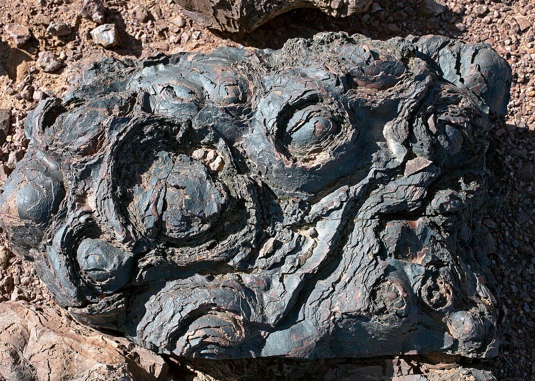 Fossilised stromatolites