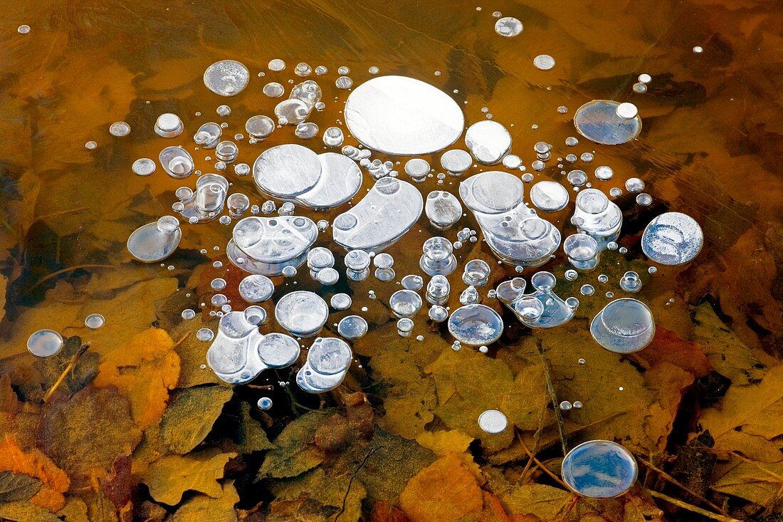 Bubbles of methane