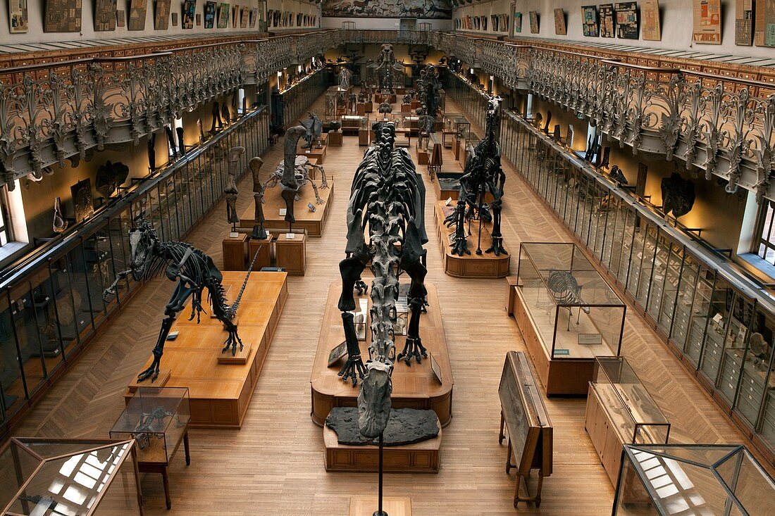 Natural history museum,France