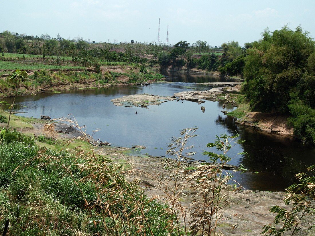 Bengawan Solo river,Indonesia