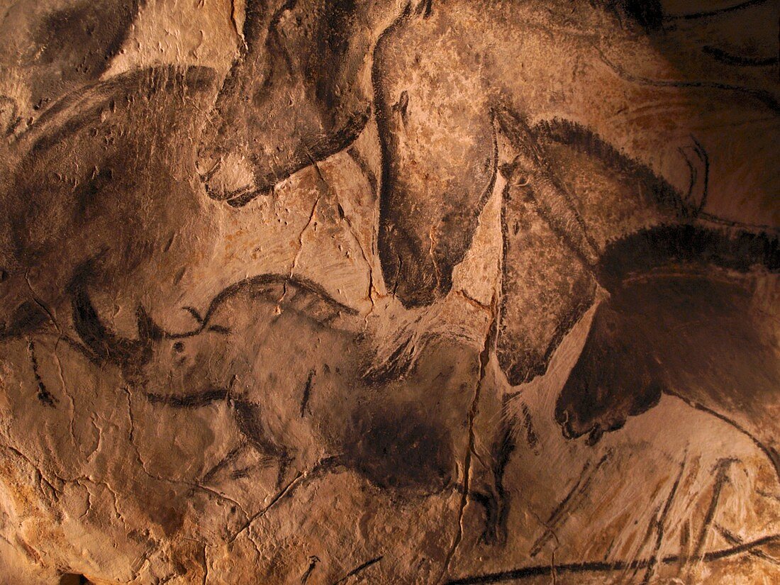Stone-age cave paintings,Chauvet,France