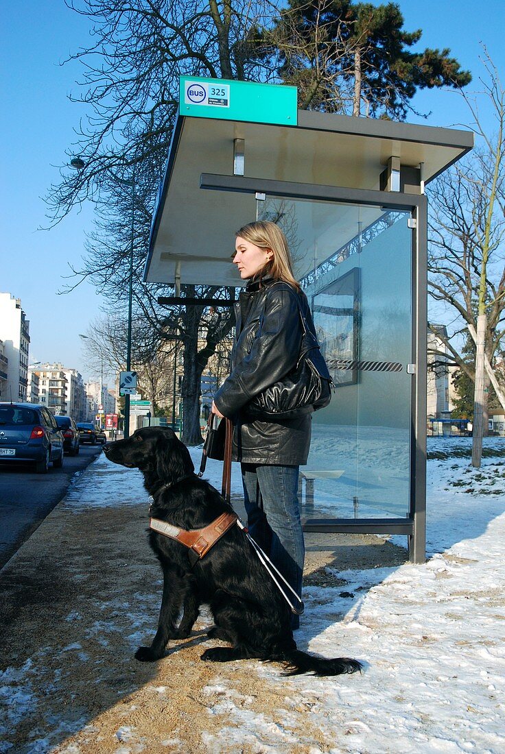 Woman and guide dog