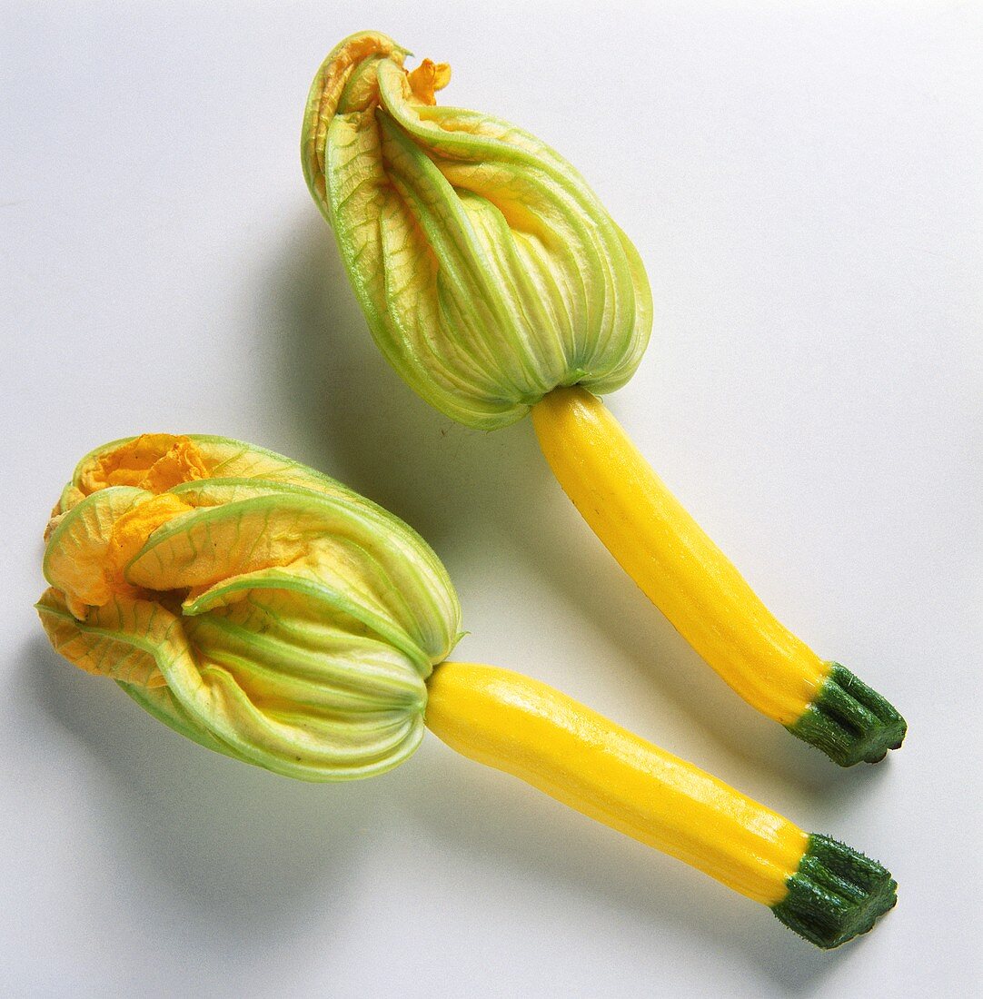Two Whole Summer Squash with Blossoms