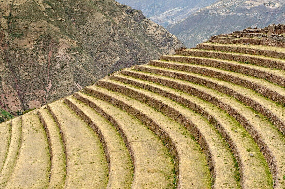 Agricultural terraces,Pisac,Peru