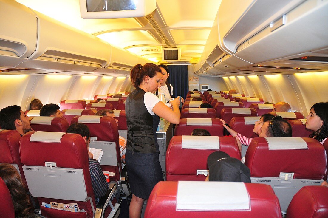 Cabin crew and passengers