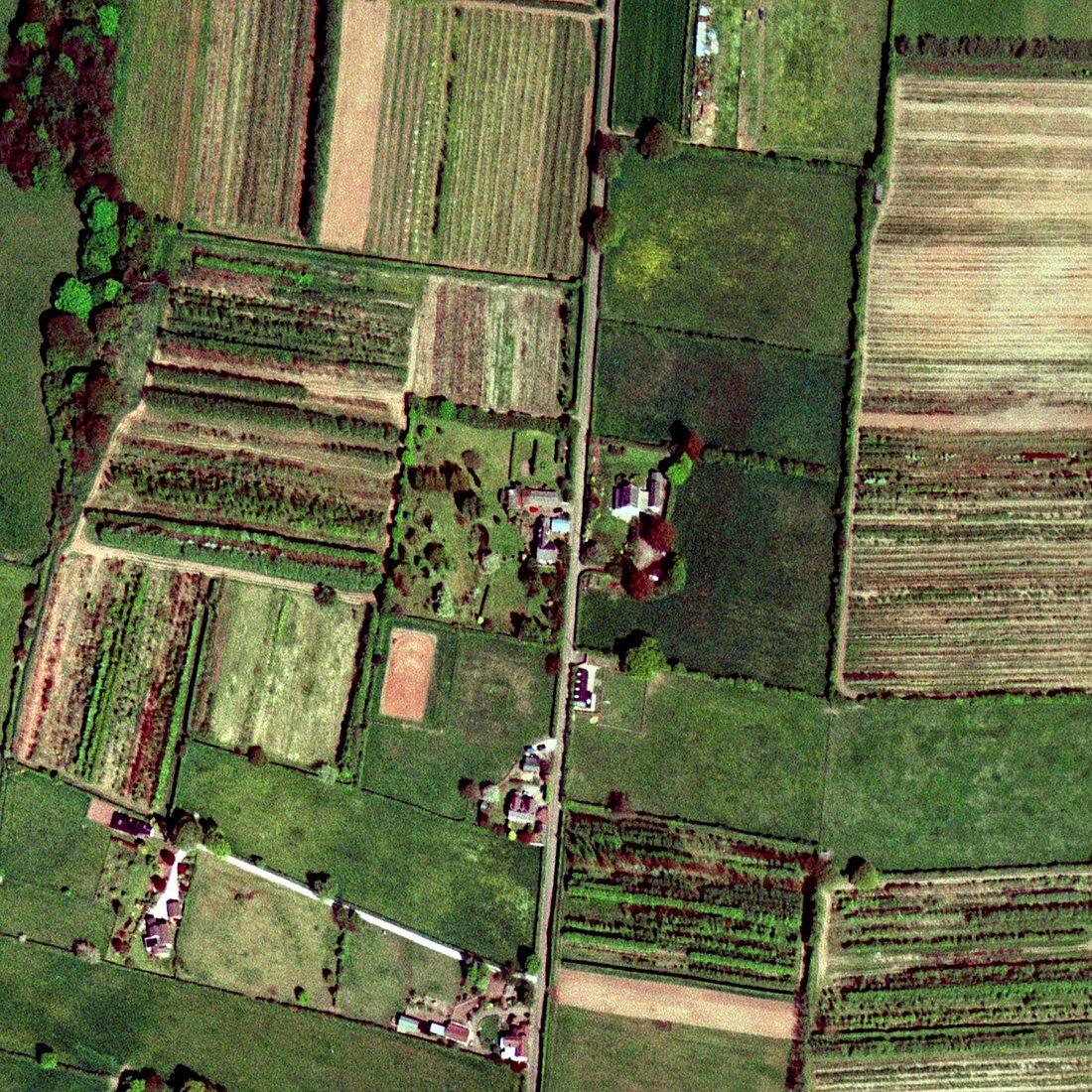 Farm buildings and fields,aerial view