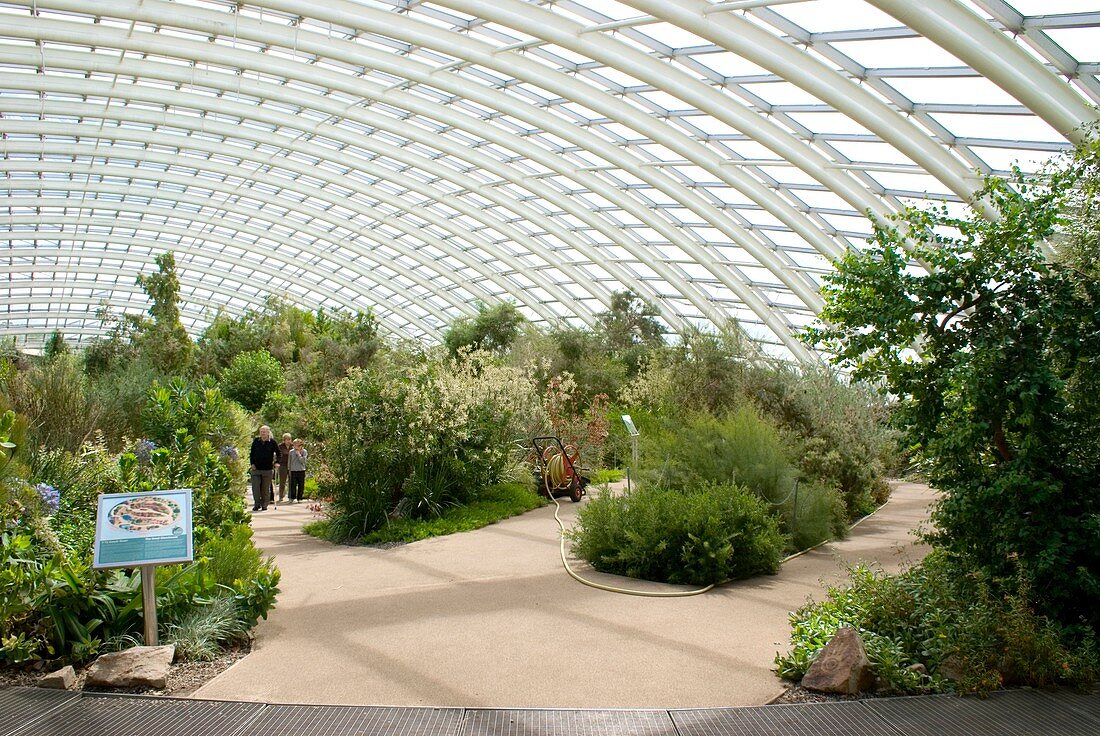 Glasshouse interior