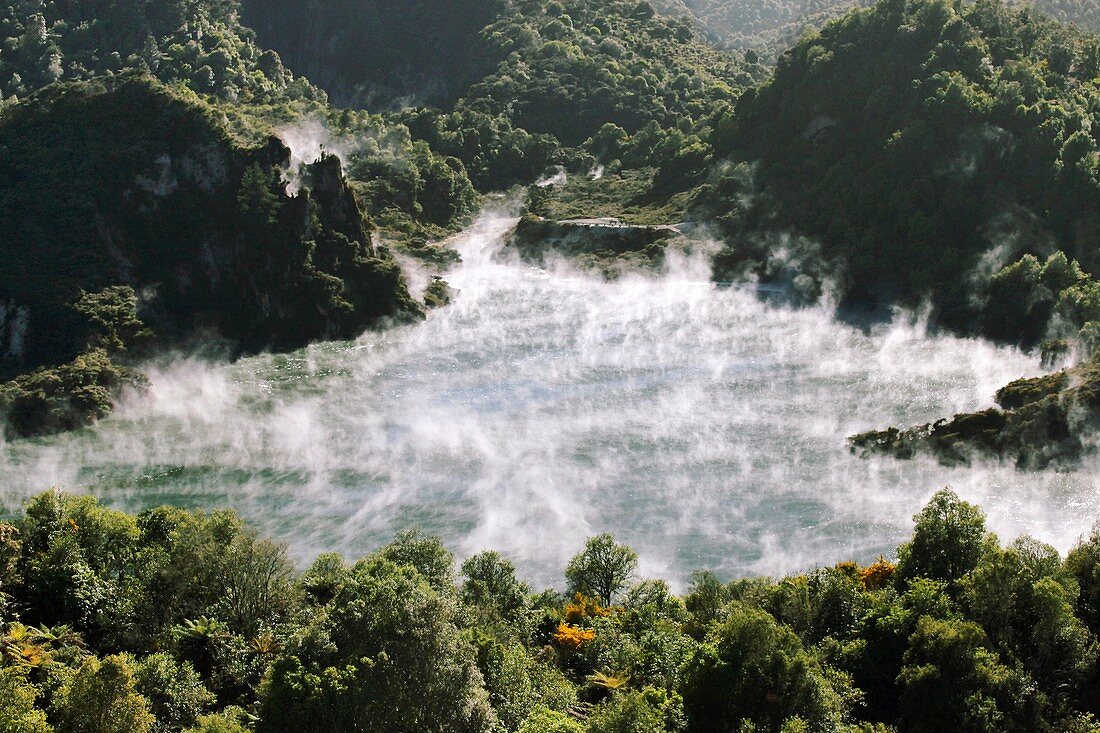 Geothermal lake,New Zealand