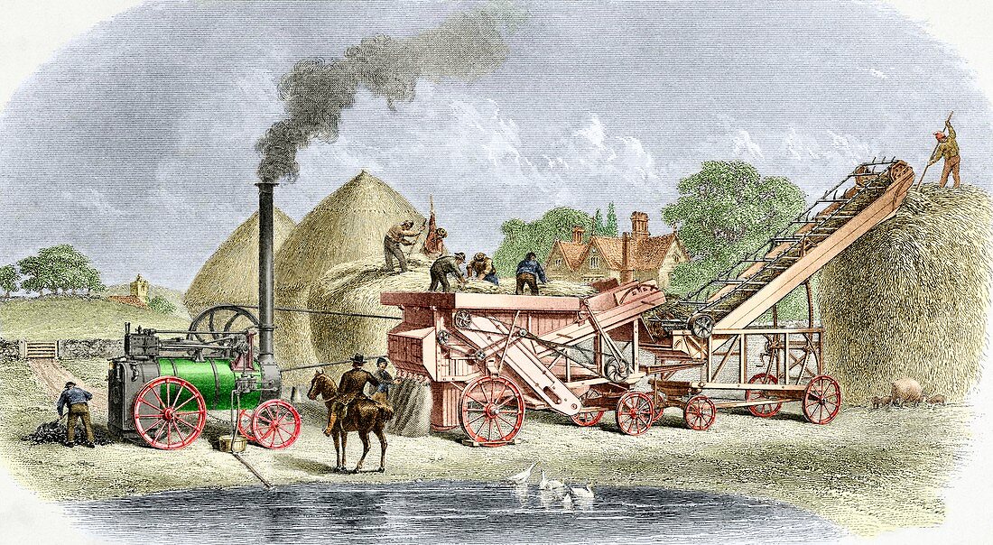 19th Century Steam Thrashing Machinery