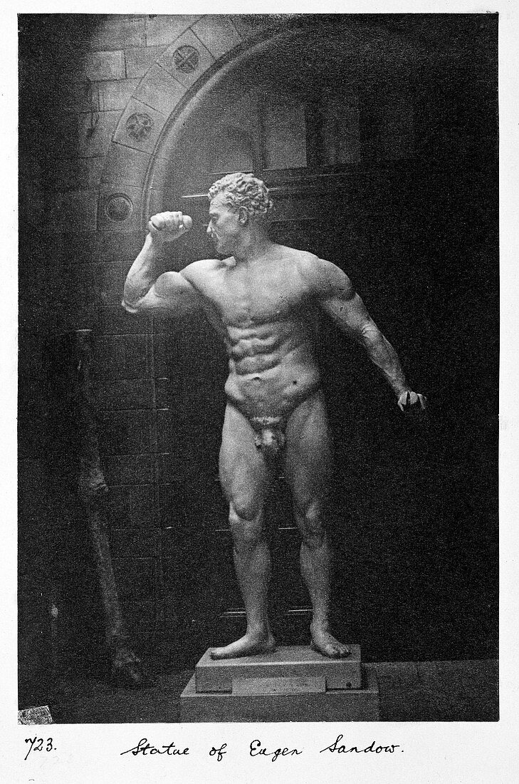 Eugen Sandow,Prussian strongman