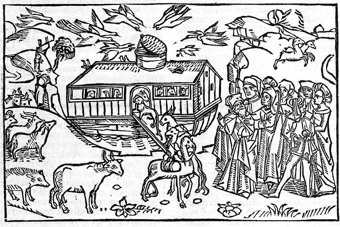 Noah's Ark,16th-century bible