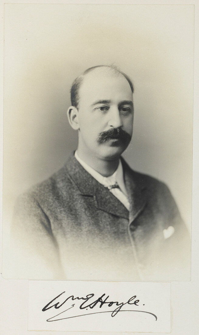 William Evans Hoyle,British anatomist