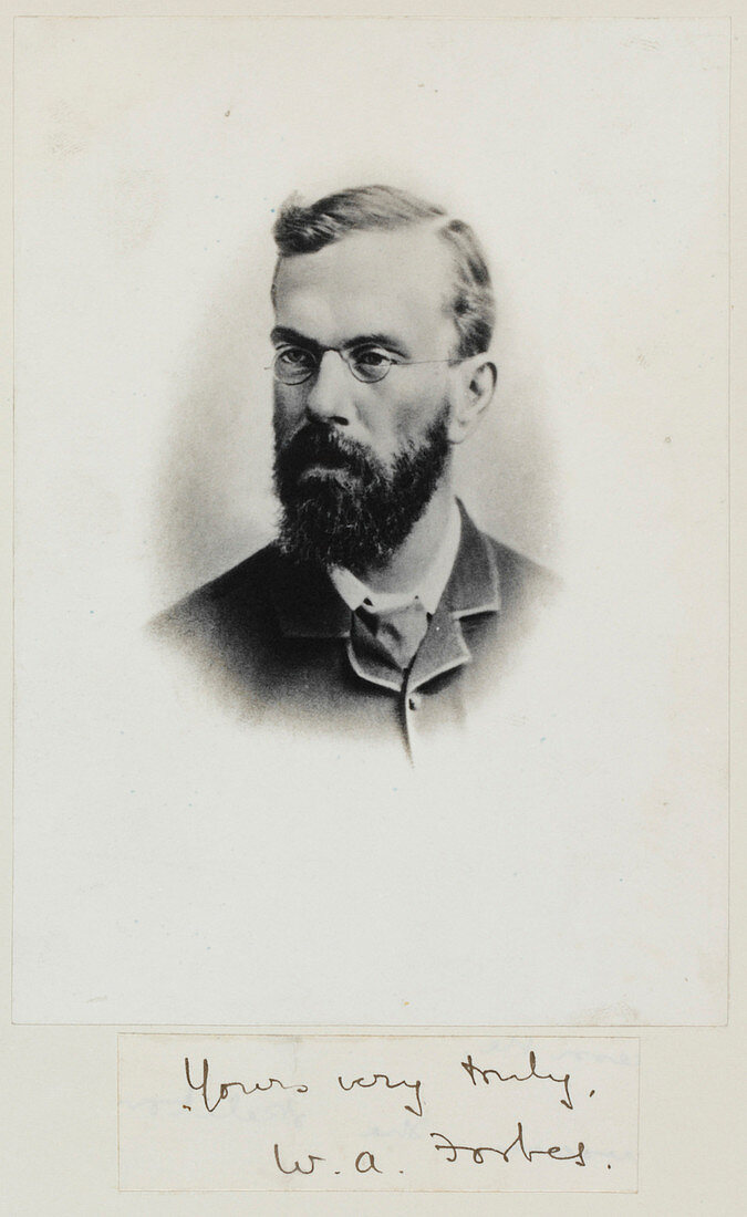 William Forbes,British zoologist