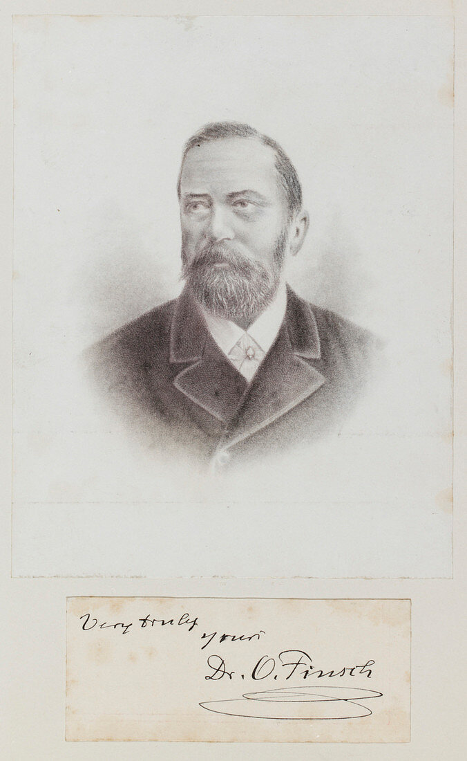 Otto Finsch,German naturalist