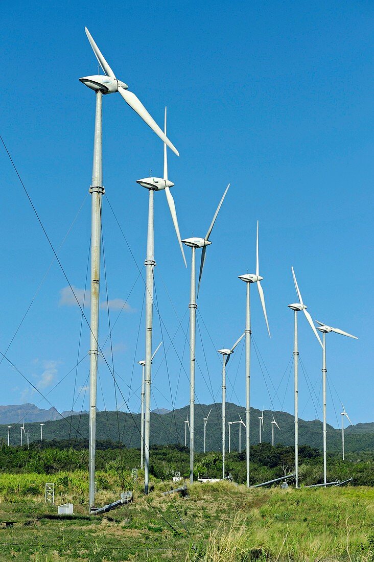 Wind farm,Reunion island