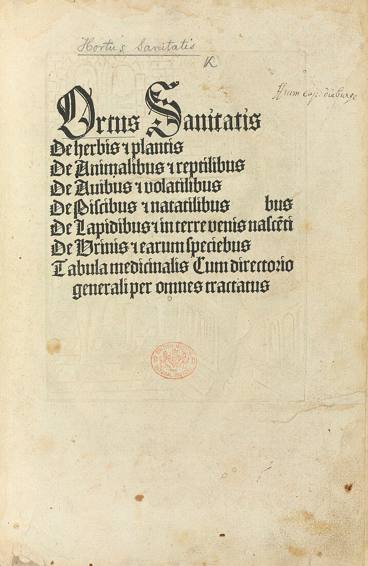 Hortus Sanitatis title page