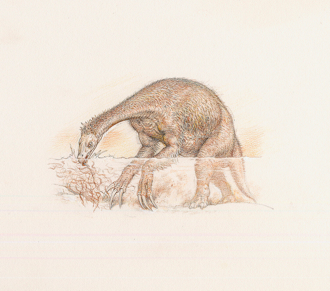 Beipiaosaurus dinosaur,artwork