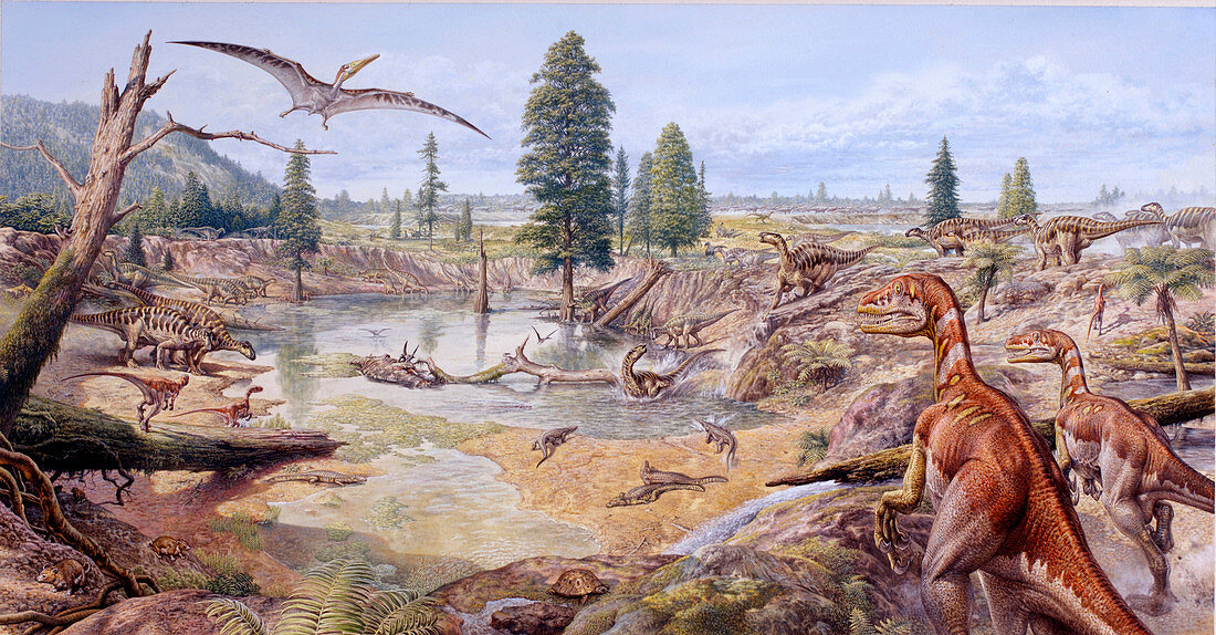 Iguananodon and Dromaeosaurs dinosaurs