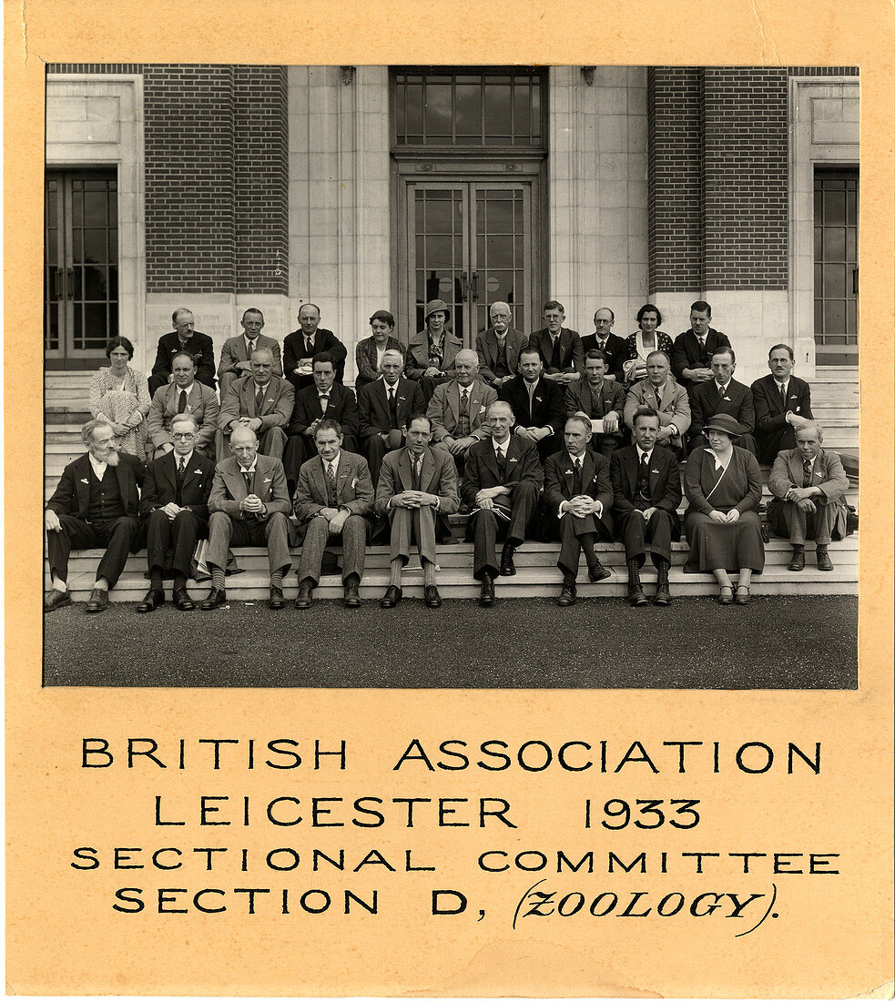 British Association Zoology section,1933