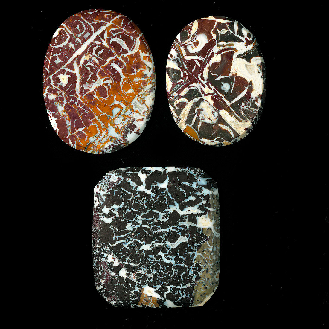 Cabuchon gemstones of jasper