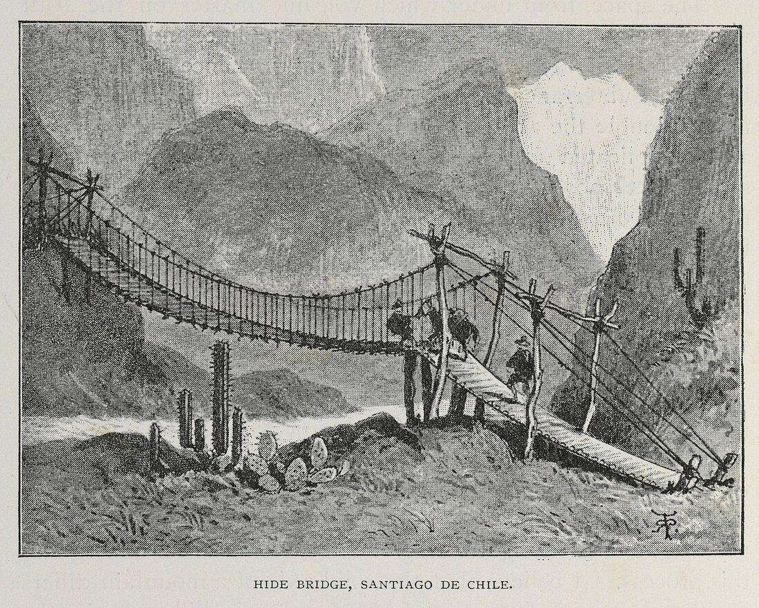 Hide bridge,Chile,1834